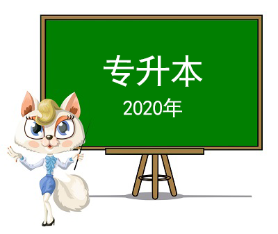 2020年專升本全科目視頻
